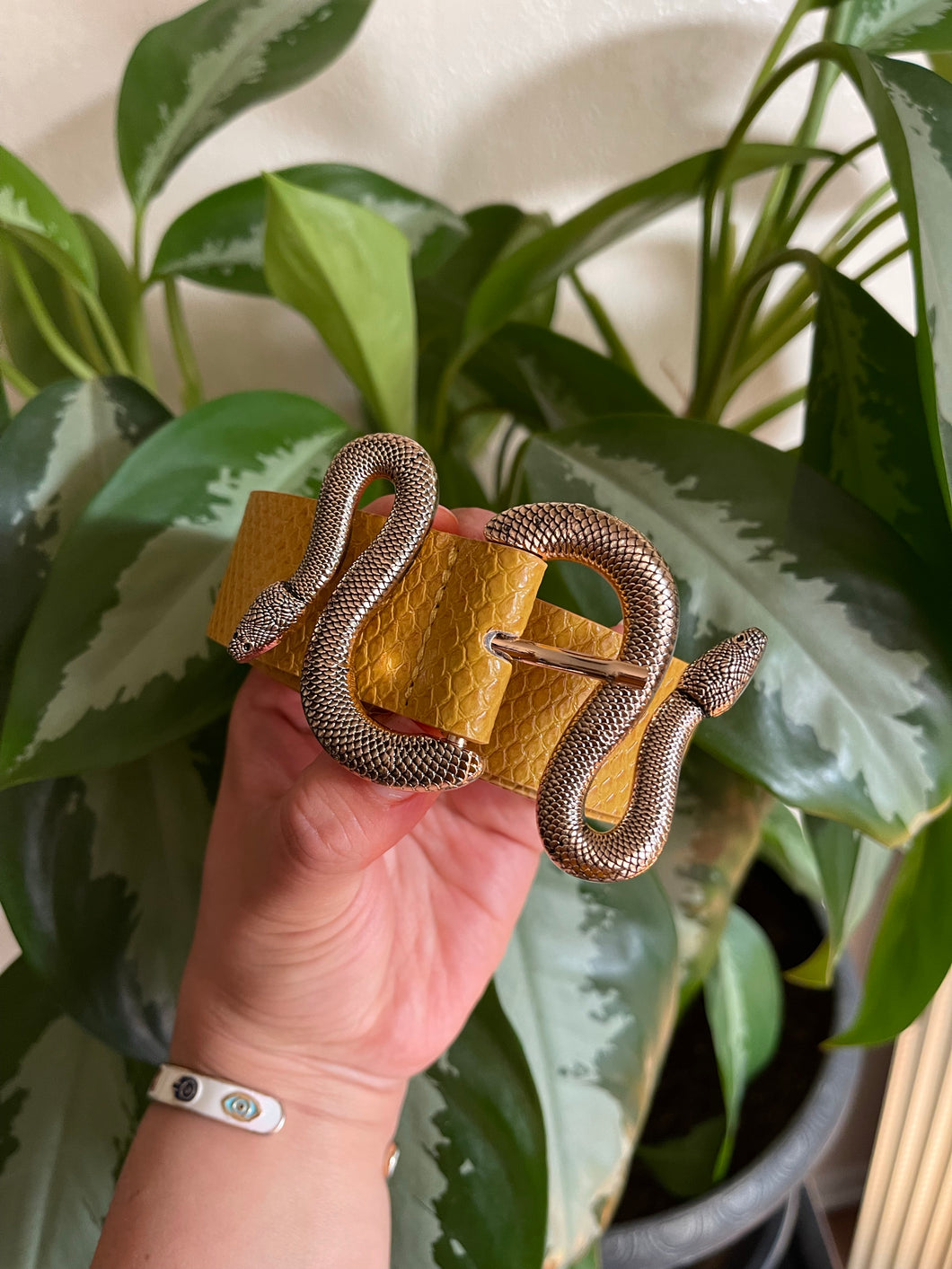 Mustard texture snake