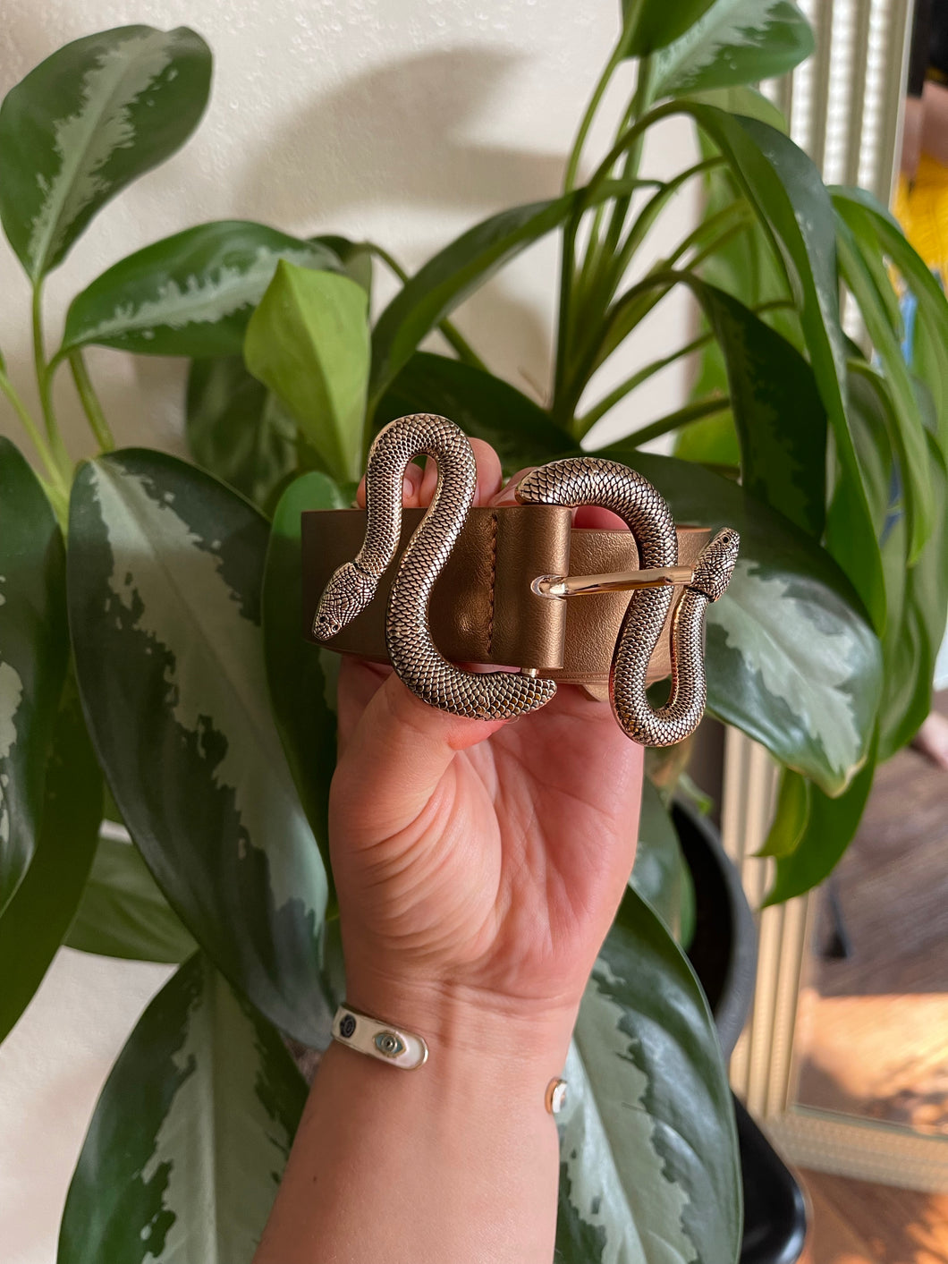 Bronze metallic snake
